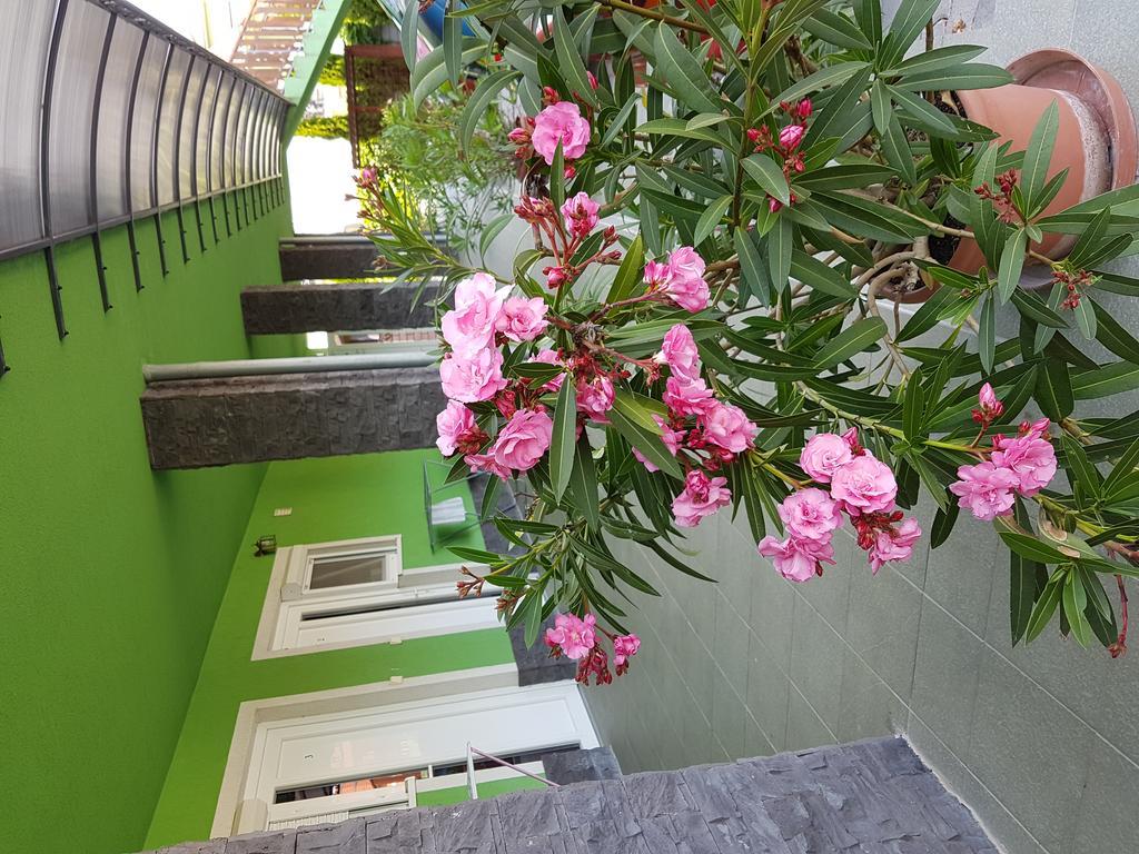 Apartman Taktik Veľký Meder Zewnętrze zdjęcie